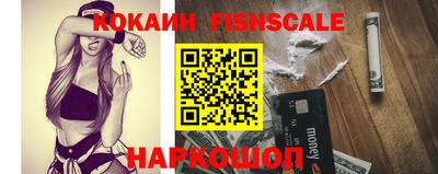 крисы Кулебаки