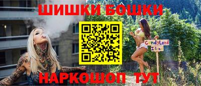 крисы Кулебаки