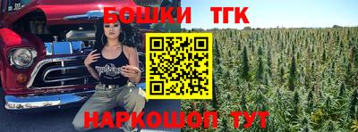 крисы Кулебаки