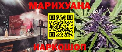 крисы Кулебаки