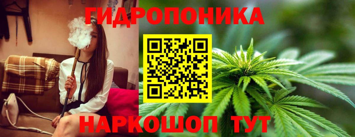Конопля Bruce Banner Ейск
